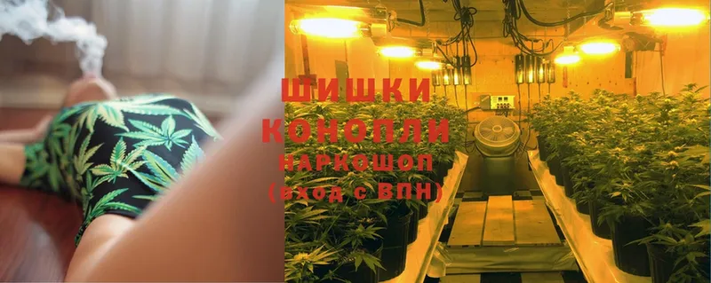 наркотики  Ртищево  МАРИХУАНА LSD WEED 